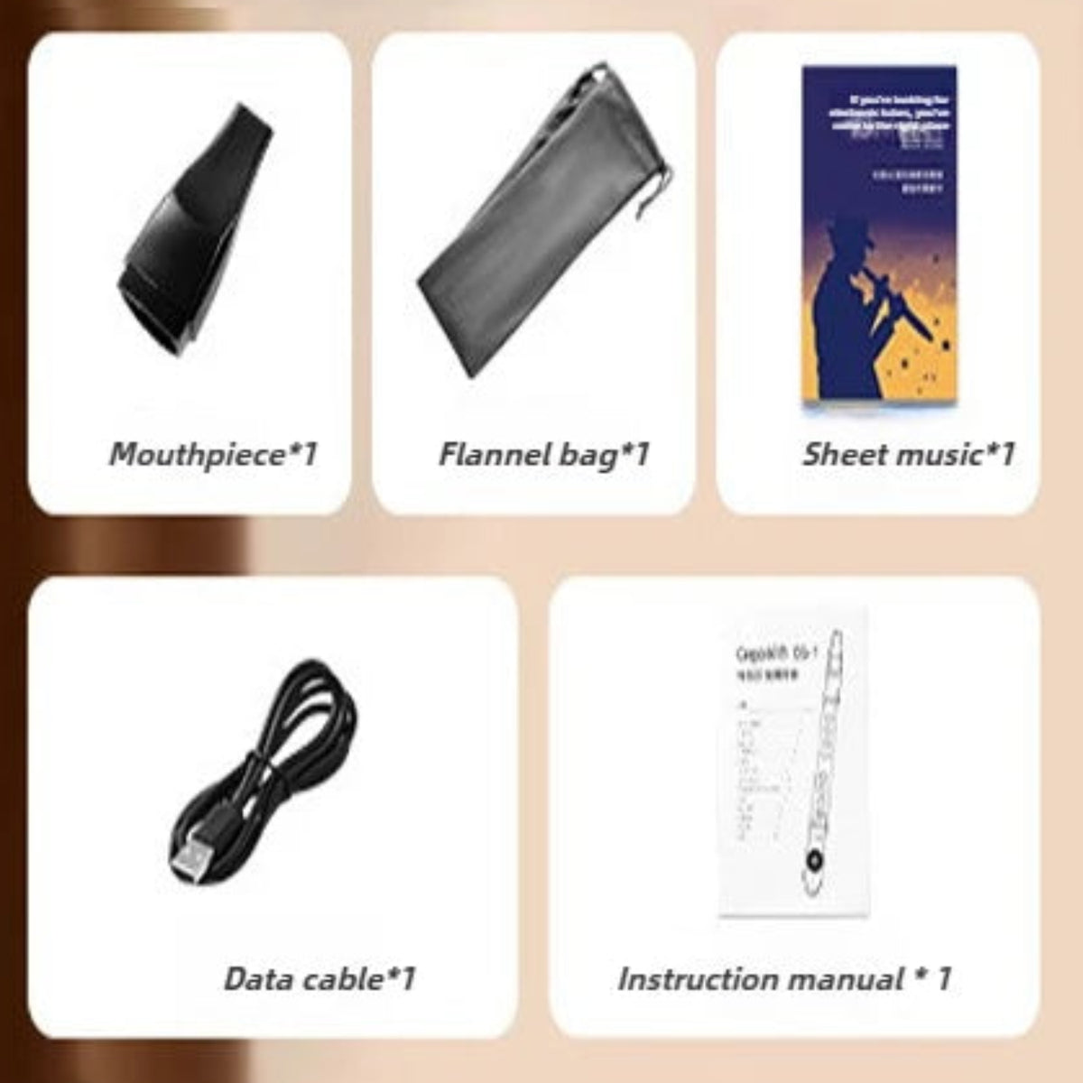 Included mouthpiece, carry bag, music booklet, USB cable and instruction manual for the digital wind instrument