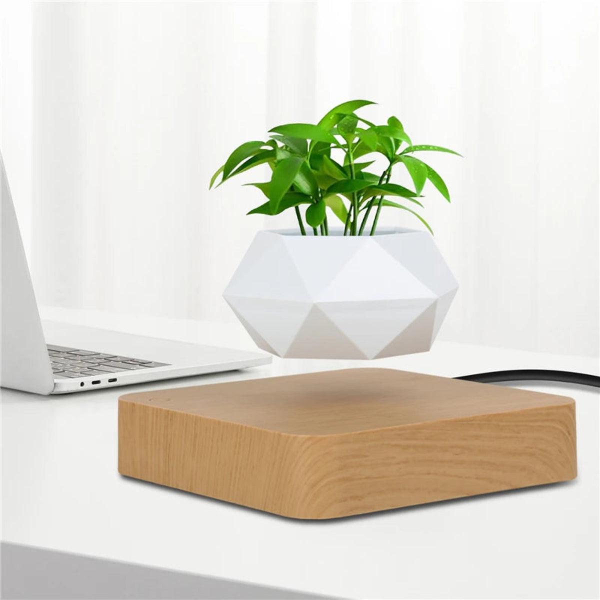 White faceted planter floating above a light wood-effect base on a desk; plant and laptop are not included