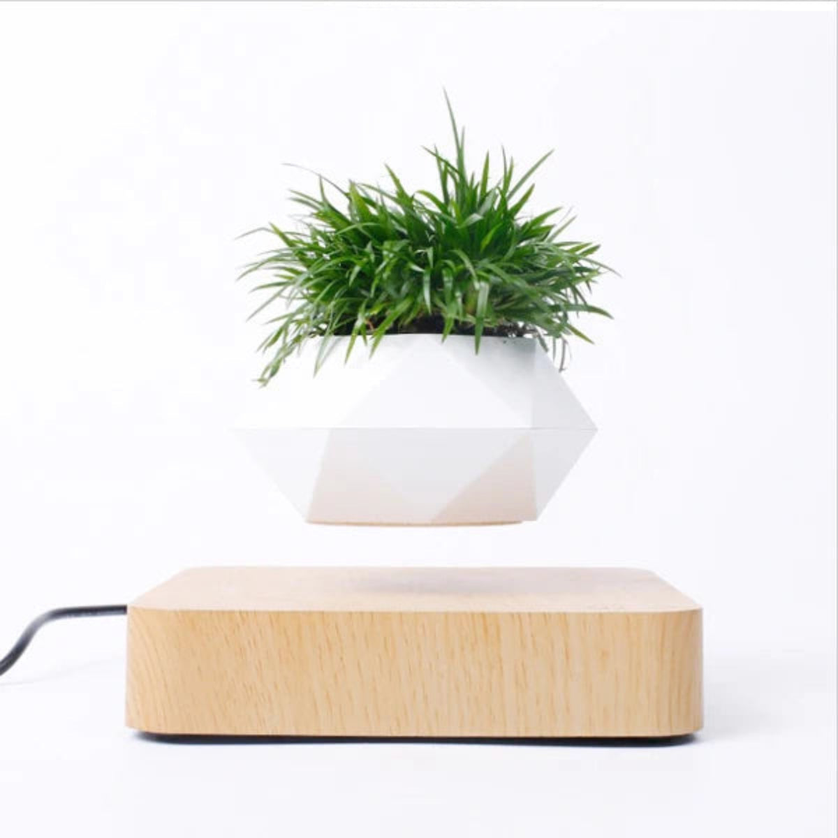 Front view of the white faceted planter floating above its light wood-effect base; the plant is an illustration and is not included